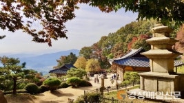 영주 부석사의 단풍