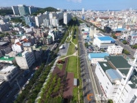 상복 터진 경북 도시숲 조성 사업