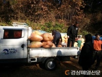 봉화, 영세축산농가에 톱밥 무상지원