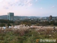 <특집>찬란한 천년 신라, 환상적인 빛의 나라로 다시 태어나다