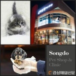 인기 고양이분양, 강아지분양 브랜드로 자리잡은 프리미엄 애견샵 ˝미유펫˝ 최고의 시설로 반려인들의 관심 받아