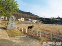 “대덕승마장서 말과 교감하며 힐링을”