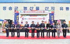 청송군 농산물공판장 개장