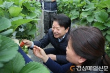 이병환 성주군수, 딸기재배 농가 방문