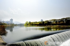 “신천둔치 더욱 더 쾌적하게”  대구시설공단, 구역별 조경지 관리