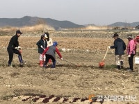 달성신당수박마을, 주말농장 분양