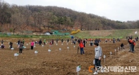 수성구, 조일골ㆍ천을산 농장 무료 분양