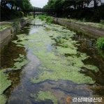 경북, 2023년까지 2천123억 들여 도심하천, 생태하천으로 되살린다