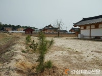 영주시, 이산서원에 학자수 후계목 식재