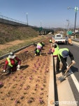 성주군 성주읍 대흥교차로 꽃밭 조성