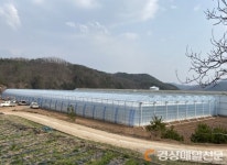 영양군 경영실습임대농장 운영
