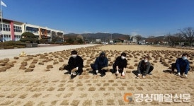 경주 천포초, 천연잔디 운동장 조성