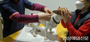 의성, 내장형동물등록지원사업추진