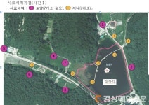 <기획> 포항 마장지, 독극물질 비소 8.7배 초과…어쩌다 죽음의 호수 됐나