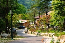구미옥성자연휴양림, 내달 1일부터 운영 재개