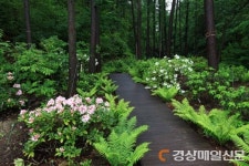 백두대간수목원, 언택트 관광지 23선에