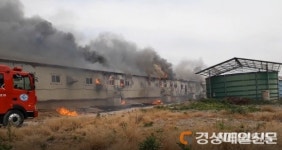 영천 고경면 돼지농장서 불…900여 마리 폐사