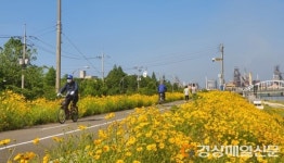 포항 형산강 자전거길 따라 ‘금빛 라이딩’ 즐겨보세요