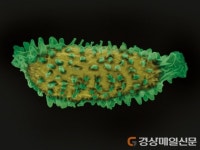 국립백두대간수목원, 자생씨앗 순회 전시