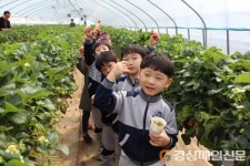 경북교육청, 유치원 가족 공감 체험으로 사랑 듬뿍 마음 가까이