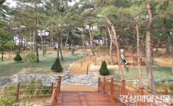 “달서별빛 숲속·생태놀이터로 오세요”
