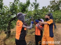 영주시의용소방대연합회, 지역주민 위해 동분서주