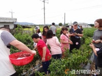 의성군, 고생한 의료진에 농촌체험관광 제공