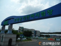 포항운전면허시험장, 울릉서 출장시험 실시