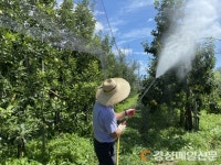 경주시농업기술센터, 농작물 병해충 적기 방제해야