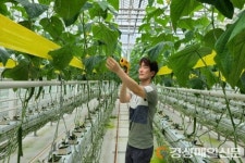 박정호 예천군 농기센터 농촌지도사, 경북 최연소 시설원예기술사 취득