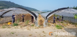 고령 농기센터-성산면, 일손 부족 농가 돕기 ‘한뜻’