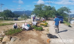 경주 개곡1리 부녀회-청년회 ‘꽃밭 가꾸기’