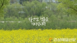 대구시, 코로나에 지친 시민 위해 힐링 영상 제작