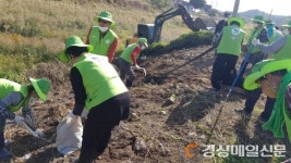 김천시, 생태계 교란식물 가시박 제거에 총력