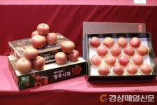 <특집> ‘바스락 바스락’ 낭만 가득한 영주로 언택트 여행 떠나요