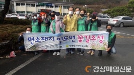 청도 각북면, 인도변 꽃양배추 700본 식재