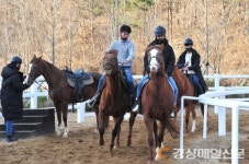 “승마ㆍ문화관광 동시에…군위 홀스파크서 누려요”