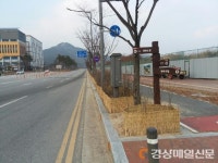 안동시, 동절기 대비 수목 보호 월동작업
