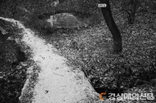 부산국제사진제 포트폴리오 리뷰…수상자 3인 작품 전시