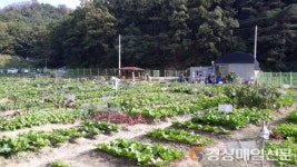 수성구, 2021년 공영도시농업농장 분양