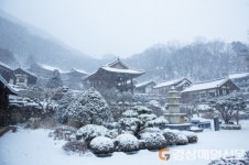 영주 부석사, 명실공히 韓 대표 관광지 입증