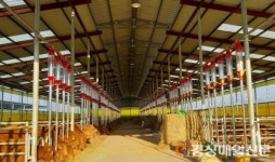 영천, 올해 축산분야 62개사업 95억 지원