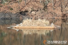 달서구, 도원지 내 ‘수달생태섬’ 조성