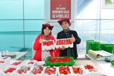 봉화 도란도란 톡톡베리 농장딸기 맛보세요