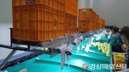 문경거점산지유통센터 매출 285억 기록