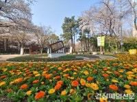 대구시설공단, 도심 3개 공원 내 봄꽃 전시