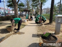 영주 하망동 새마을지도자협, 꽃모종 식재