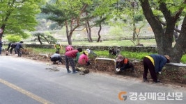 군위군 부계면 대율리, 주민들 꽃심기로 손님맞이  마을 가꾸기 시행
