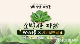 “소백산 명이나물, 카톡으로 주문하세요”
