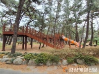 포항시, 천혜의 송림숲 내 ‘송림 키즈 숲놀이터’ 개장